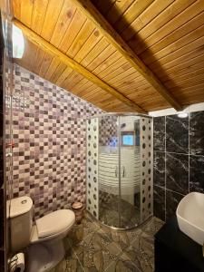 a bathroom with a shower and a toilet and a sink at İsgobya Dağ Evleri 108 in Macka