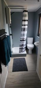 een badkamer met toilet en douchegordijn bij Ferienwohnung Chandony in Konz