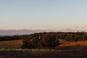 Galeriebild der Unterkunft GiteLaGrange in Lalanne-Arqué