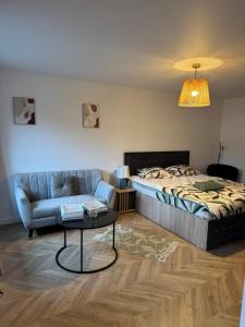 a bedroom with a bed and a couch and a table at IUGAs RESIDENCE in Sighetu Marmaţiei