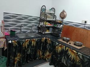 a kitchen with a sink and a counter top at Shayus Homestay in Kampong Alor