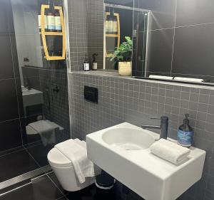 een badkamer met een wastafel, een toilet en een spiegel bij Lake Views Belconnen in Belconnen +29 foto's