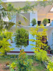 En have udenfor Villa Ocean Whisper