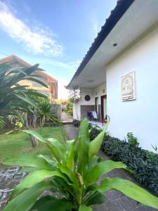 a view of a house with plants in the yard at Pondok tulamben in Karangasem