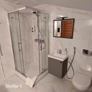 a bathroom with a shower and a toilet and a sink at Ronnenburg apartamenti in Rauna +60 photos