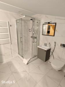 een badkamer met een douche, een toilet en een wastafel bij Ronnenburg apartamenti in Rauna