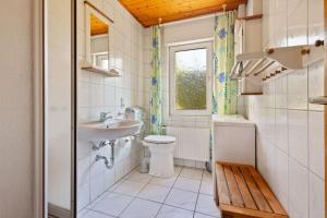 een badkamer met een wastafel en een toilet en een raam bij Hümmlische Auszeit RE15 in Sögel