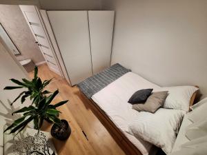 a small bed in a small room with a plant at Apartament Polna 21 in Kalisz
