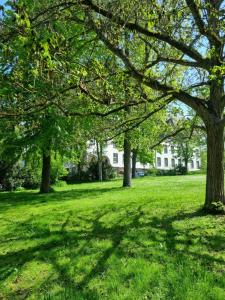 Zahrada ubytování Luxus am Park Altstadt-Barrierefrei-Parkplatz