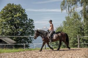 a man riding a horse with a helmet on at Bio Bauernhof Holzegghof in Zell am See in Erlberg +14 photos