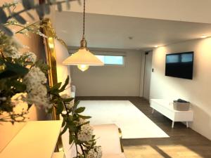 Et tv og/eller underholdning på 경기도 양평군 강남로714-14