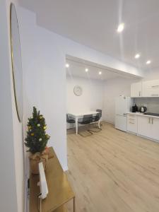 a living room with a christmas tree on a table at Apartament Daisy in Świebodzice +1 photo
