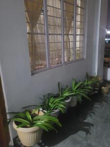 Gallery image of Bed and Breakfast in Shillong