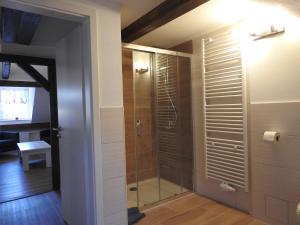 a bathroom with a shower with a glass door at Ferienwohnungen am Hauptplatz in Pirna +264 photos