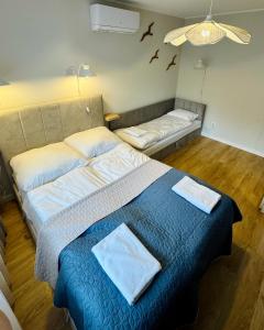 a bedroom with two beds and a couch at Modrzewiowa Przygoda in Debina