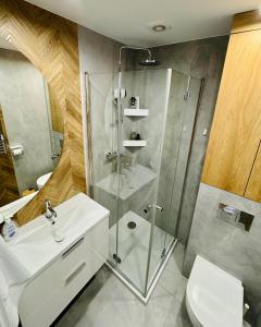 a bathroom with a shower and a sink and a toilet at Modrzewiowa Przygoda in Debina