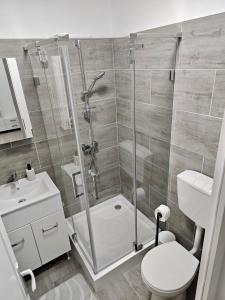 une salle de bains avec douche, toilettes et lavabo dans l'établissement Luxury District - Panoramic View Urban Apartment, à Târgu-Mureş 2 autres photos