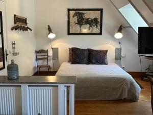 a bedroom with a bed and a tv in it at LE PARC DU VIVIER in Fernestrelay