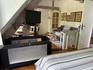 a living room with a television and a couch at LE PARC DU VIVIER in Fernestrelay
