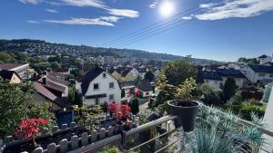 een balkon met uitzicht op een stad met potplanten bij T&T Panorama Apartment in Blaustein