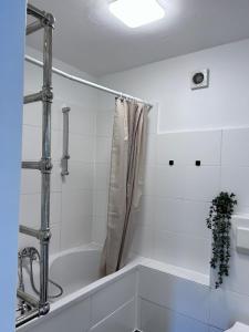 Koupelna v ubytování Travemilija + 7 fotografií