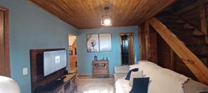 een slaapkamer met een bed en een tv in een kamer bij Birds' Corner Cabin in Curitiba