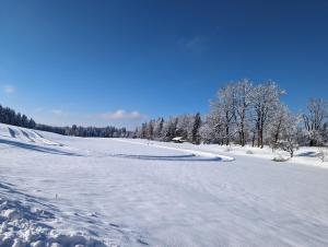 Billede fra billedgalleriet på Geigerhof Bad Heilbrunn i Bad Heilbrunn