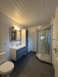 een badkamer met douche, wastafel en toilet bij Leilighet Ski in/out, golf in Vradal
