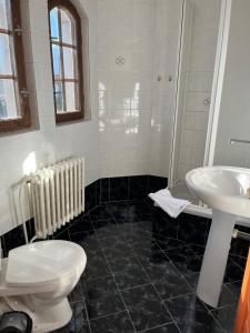 een badkamer met toilet en wastafel bij Pension Libra in Velešín