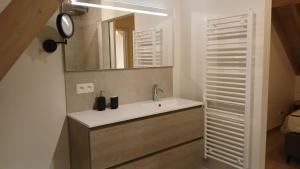 a bathroom with a sink and a mirror at Hof van Sassenbroek in Borgloon