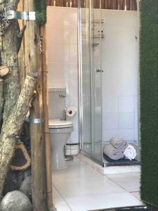 a bathroom with a toilet and a glass shower at Masinga in Hillcrest +78 photos