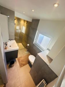 een badkamer met een toilet, een wastafel en een douche bij Gästehaus mit 3 MiniAppartments in Gr-Umstadt in Groß-Umstadt