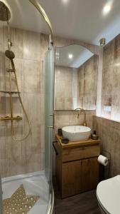 een badkamer met een wastafel, een toilet en een douche bij Pokoje Ewka in Czarna Góra