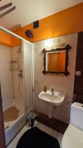 a small bathroom with a sink and a shower at Pokoje Ewka in Czarna Góra +28 photos