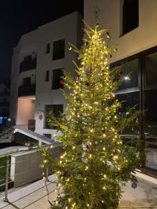 a christmas tree with lights in front of a building at ArhitectINN Sibiu in Sibiu