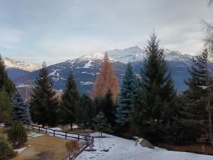 a group of trees and mountains with snow at Fiocco di neve in Valdisotto +2 photos