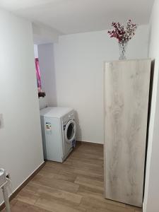 ein Zimmer mit einer Waschmaschine und einer Blumenvase in der Unterkunft La Casa del Borgo-intero appartamento in Latina
