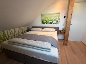 En eller flere senge i et værelse på Ferienwohnung Moser + 56 billeder