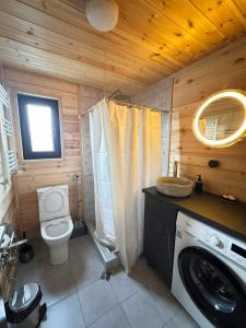 a bathroom with a toilet and a washing machine at Cottage Liantto in Borjomi +20 photos
