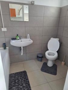 een badkamer met toilet en wastafel bij Apartament DOM in Moşniţa Nouă +3 foto's