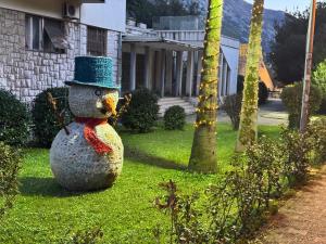 En have udenfor Little Bay Apartments