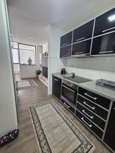 Kuchyň nebo kuchyňský kout v ubytování Ninche's Penthouse