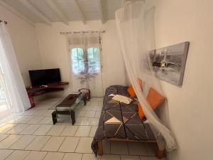 a living room with a couch and a television at Studio La Marguerite - Vue mer avec terrasse privée - calme tropical à Deshaies in Deshaies