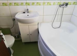 een badkamer met een wastafel, een bad en een toilet bij Apollo Green 1 cameră in Sângeorgiu de Mureş