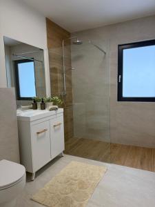 a bathroom with a shower and a toilet and a sink at Cabana Nord Side in Muntele Cacovei +36 photos