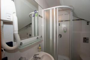 een badkamer met douche, toilet en spiegel bij Penzion U Černého čápa in Lasenitz