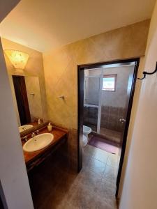 ein Badezimmer mit Waschbecken, Toilette und Dusche in der Unterkunft El Refugio in Aluminé
