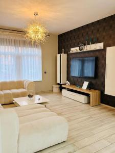 un salon avec un canapé et une télévision à écran plat dans l'établissement l'imperial WIFI & Confort, à Bruxelles