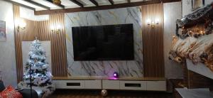 a living room with a christmas tree and a television at Belle CHAMBRE in Seraing