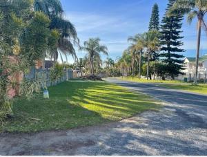 a street with palm trees on the side of the road at 850 Munro in Margate